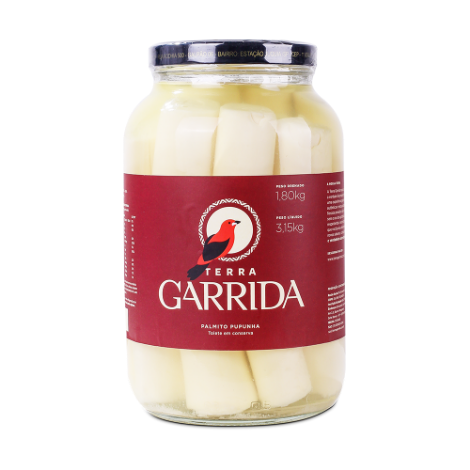 TERRA-PALMITOPUPUNHA-GRANDE